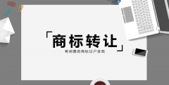 青岛群力代理记账有限公司